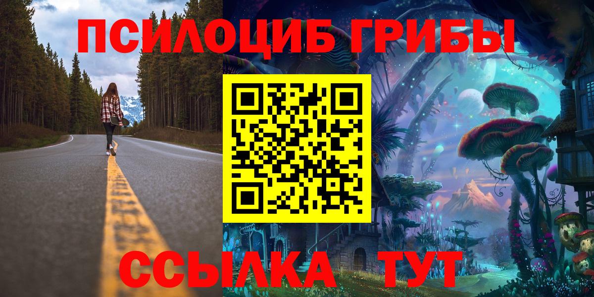 Россия  Псилоцибиновые грибы GOLDEN TEACHER  Вход с VPN 